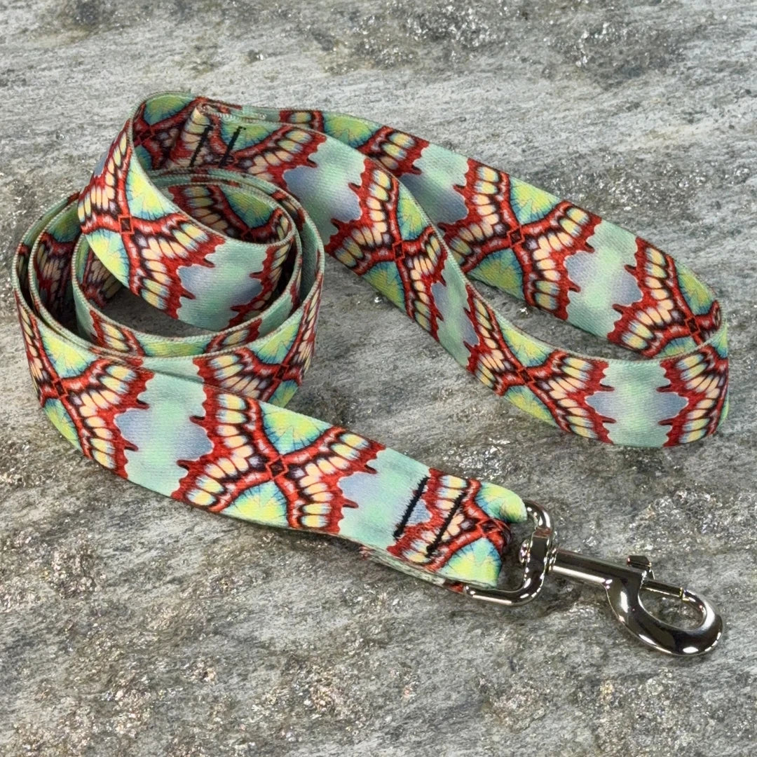 Butterfly Showstopper Dog Leash