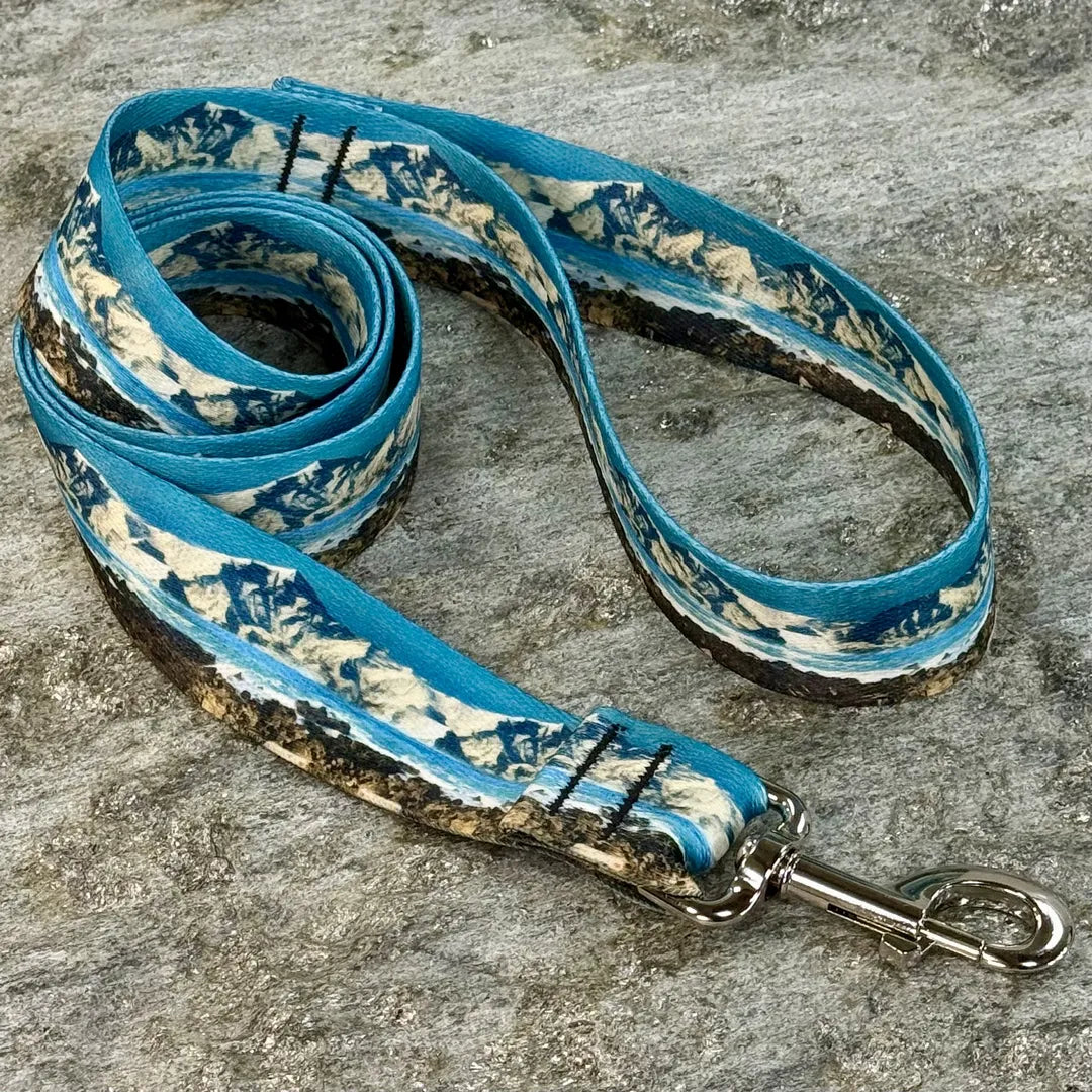 Coastal Scenic Dog Leash