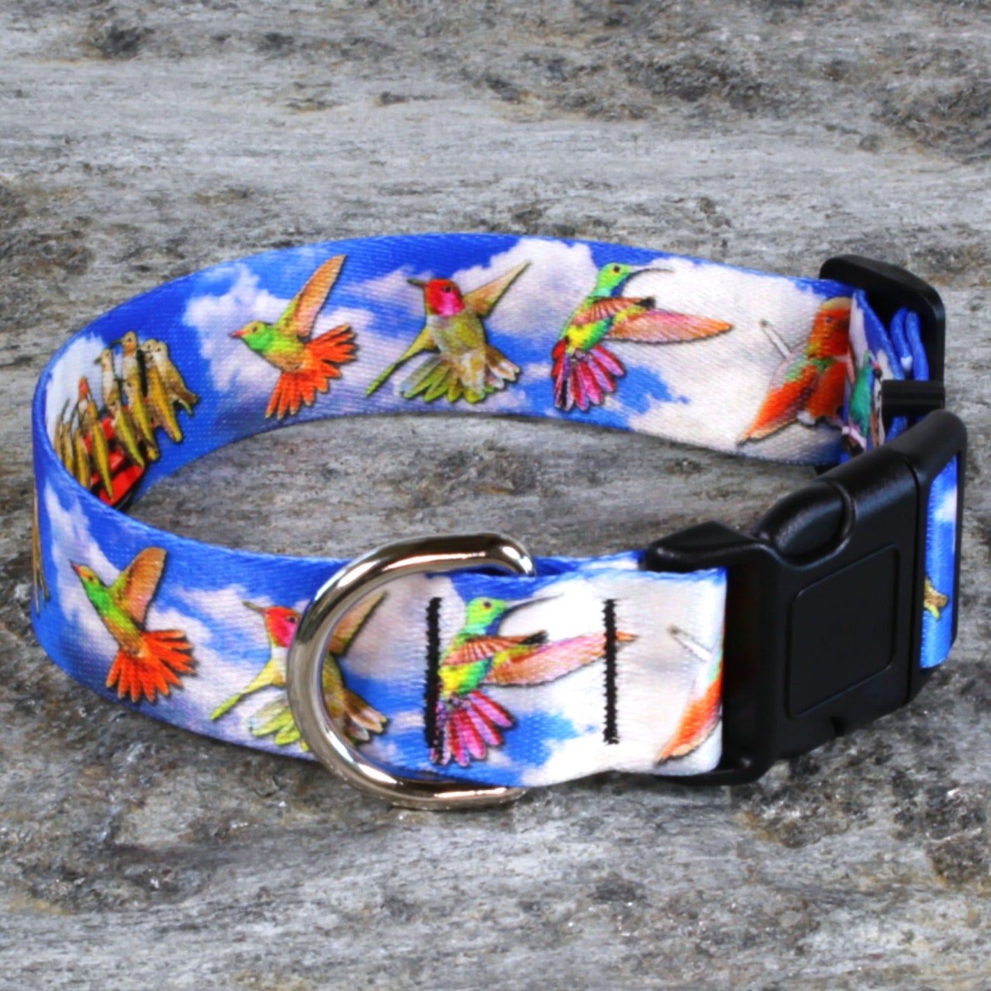 Hummingbirds Flying and Feeding Dog Collar