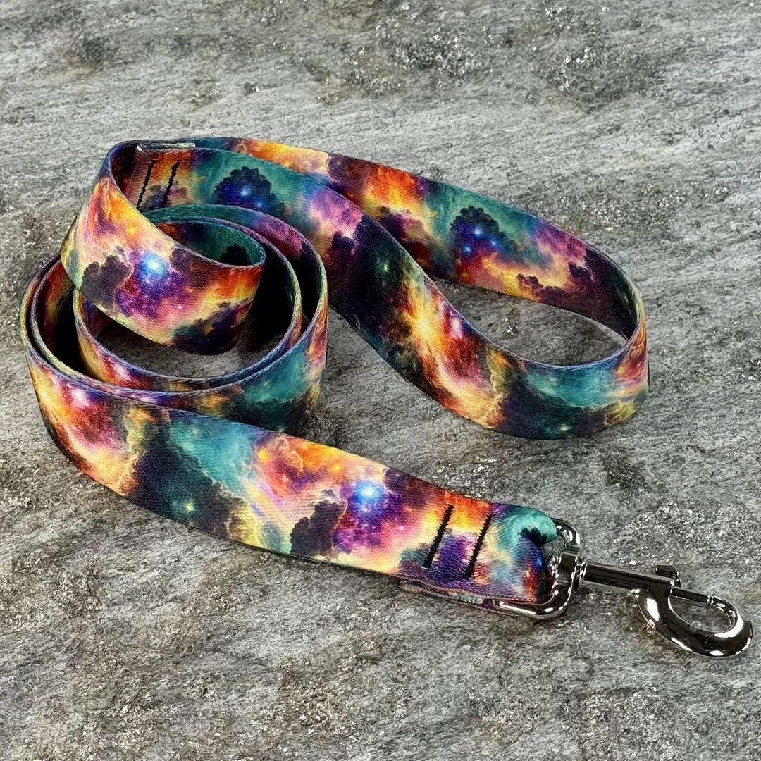 Star Gazer Dog Leash
