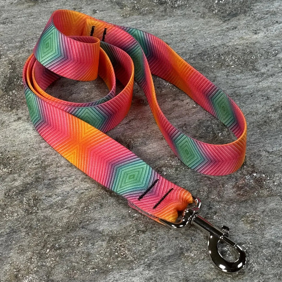 Ultra Bright Rainbow Dog Leash