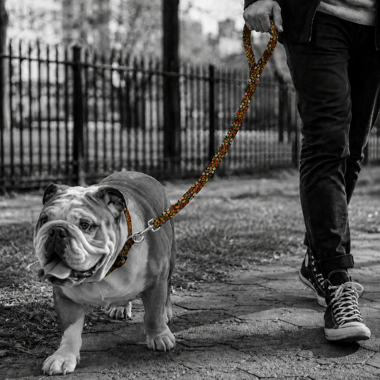 Leashes - More Drip For your Best Friend