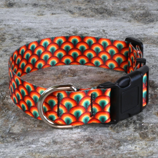 Orange and Blue Arcs Dog Collar
