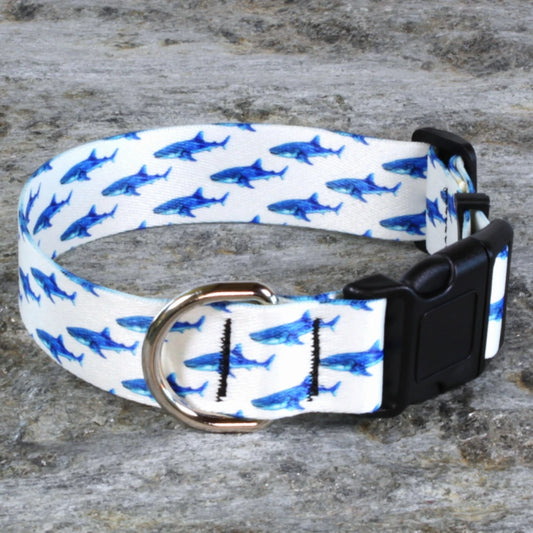 Blue Whale Shark Dog Collar – Ocean Animal Pattern