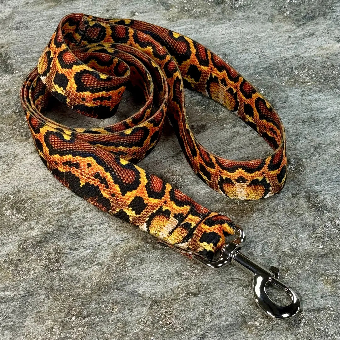 Boa Dog Leash