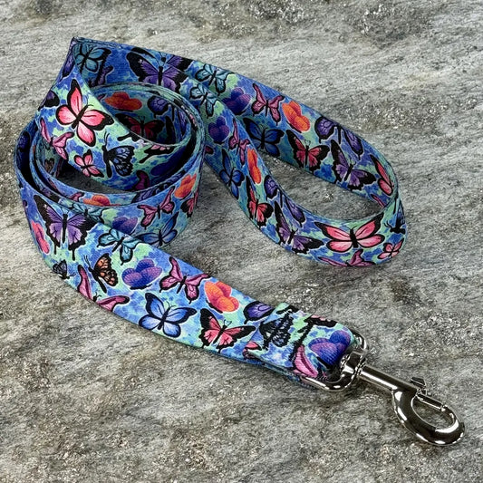 Water Color Butterflies on Blue Dog Leash