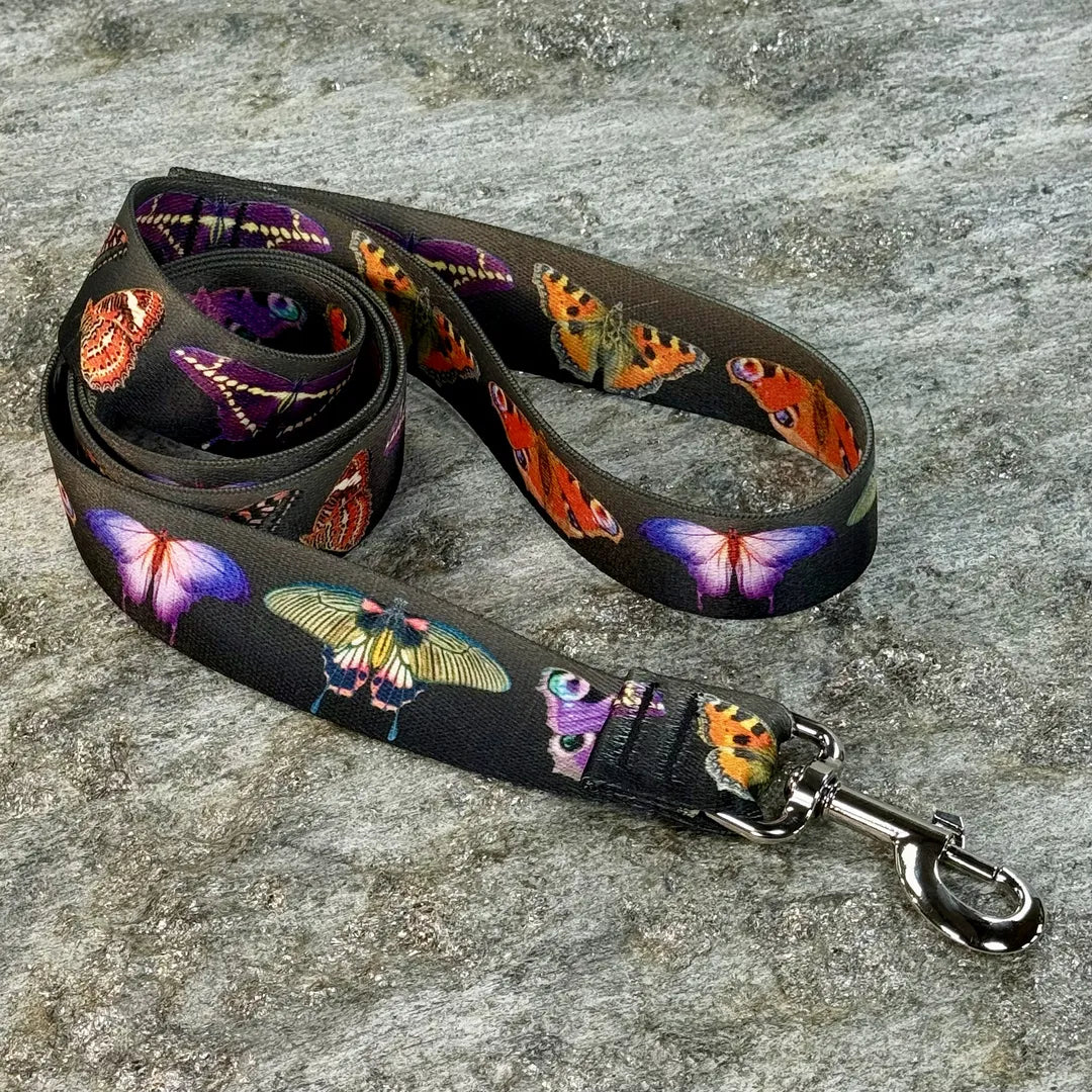 Butterflies on Black Fade Dog Leash – Colorful Butterfly Pattern