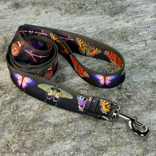 Butterflies on Black Fade Dog Leash – Colorful Butterfly Pattern
