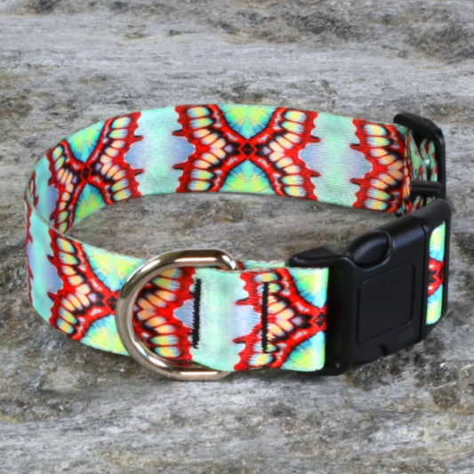 Butterfly Showstopper Dog Collar – Symmetrical Wing Pattern
