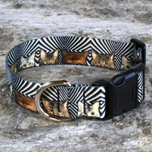 Cats Surprise Dog Collar – Hidden Cat Pattern