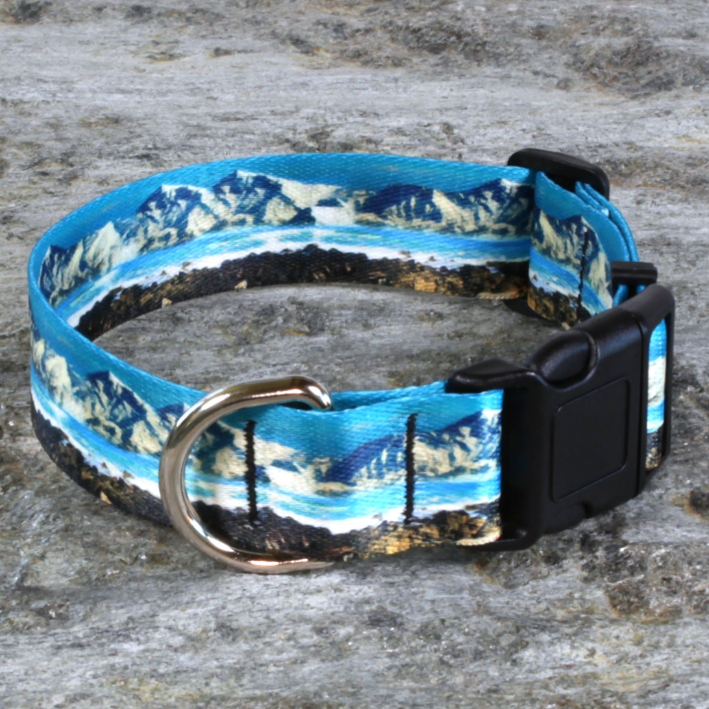 Coastal Dog Collar – Ocean Landscape Pattern