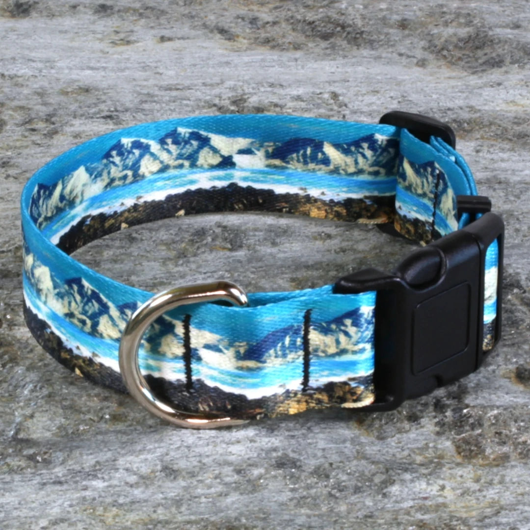 Coastal Dog Collar – Ocean Landscape Pattern