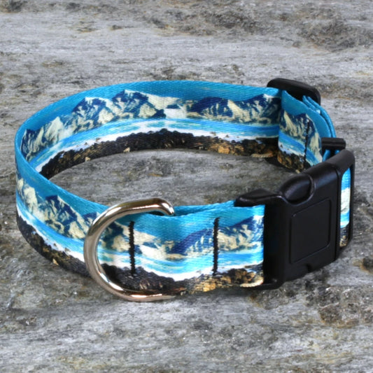 Coastal Dog Collar – Ocean Landscape Pattern