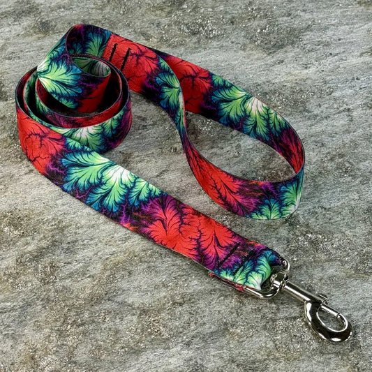 Emergence Dog Leash