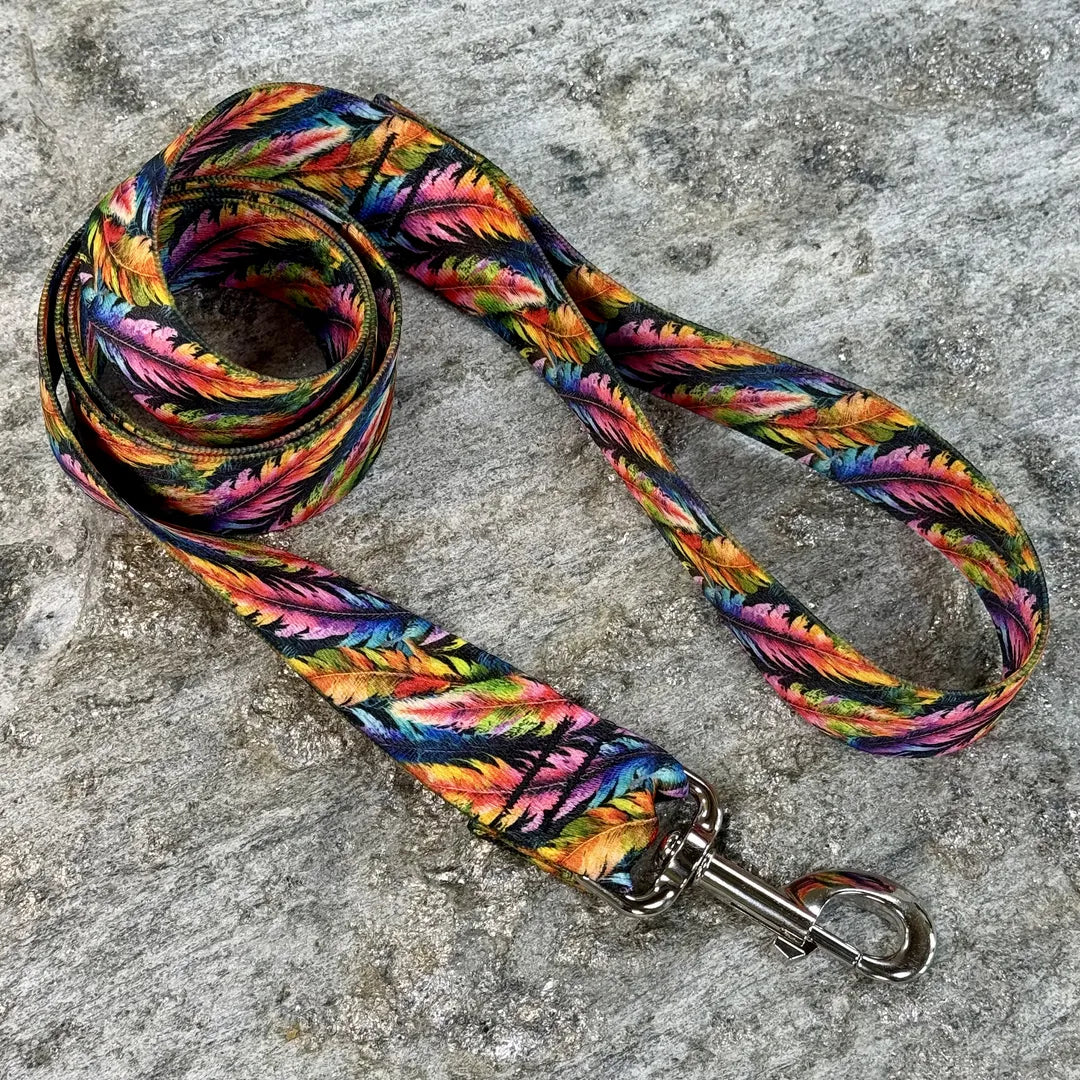 Iridescent Feather Dog Leash