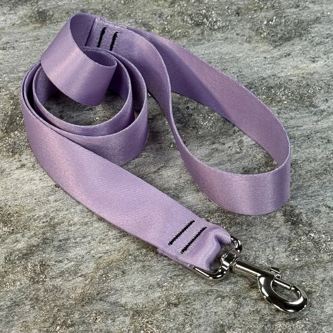 Solid Color Dog Leash