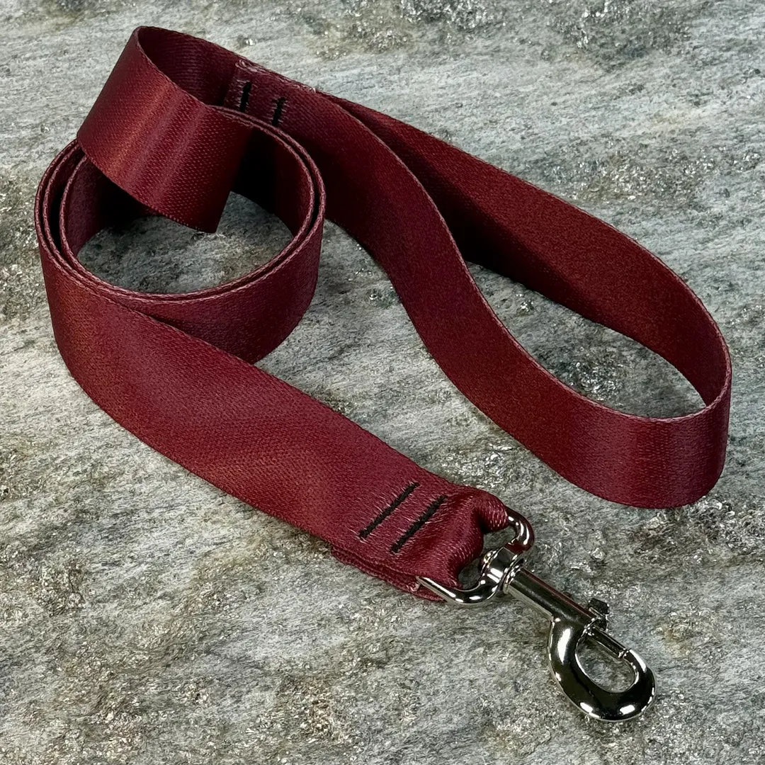 Solid Color Dog Leash