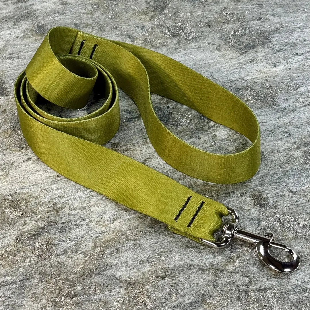 Solid Color Dog Leash