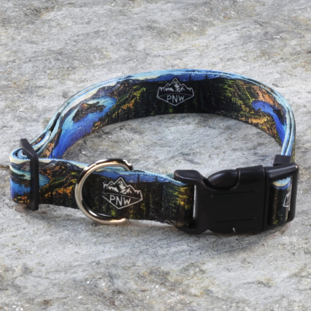 Pacific Northwest Pet Wear Dog Leash and Collar