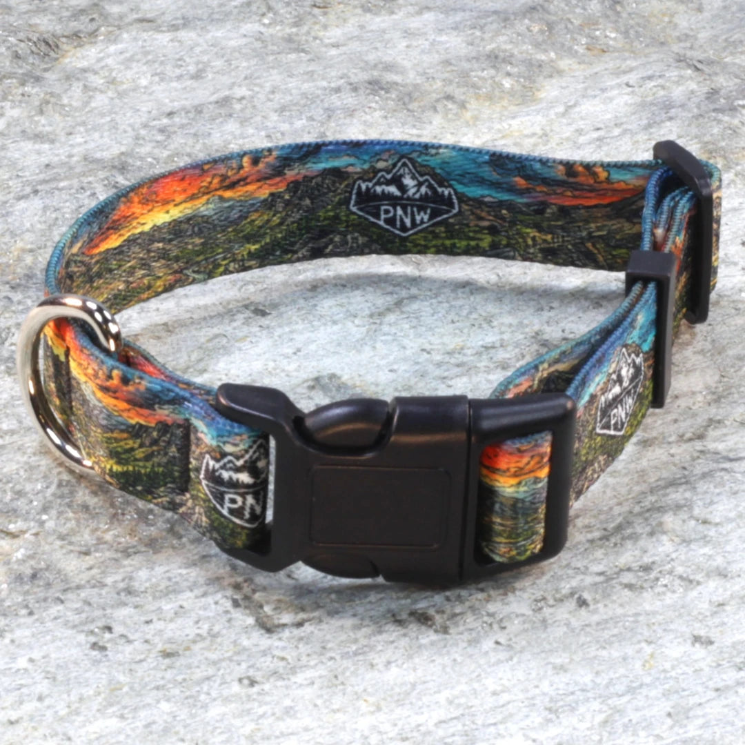 Pacific Northwest Pet Wear Dog Leash and Collar