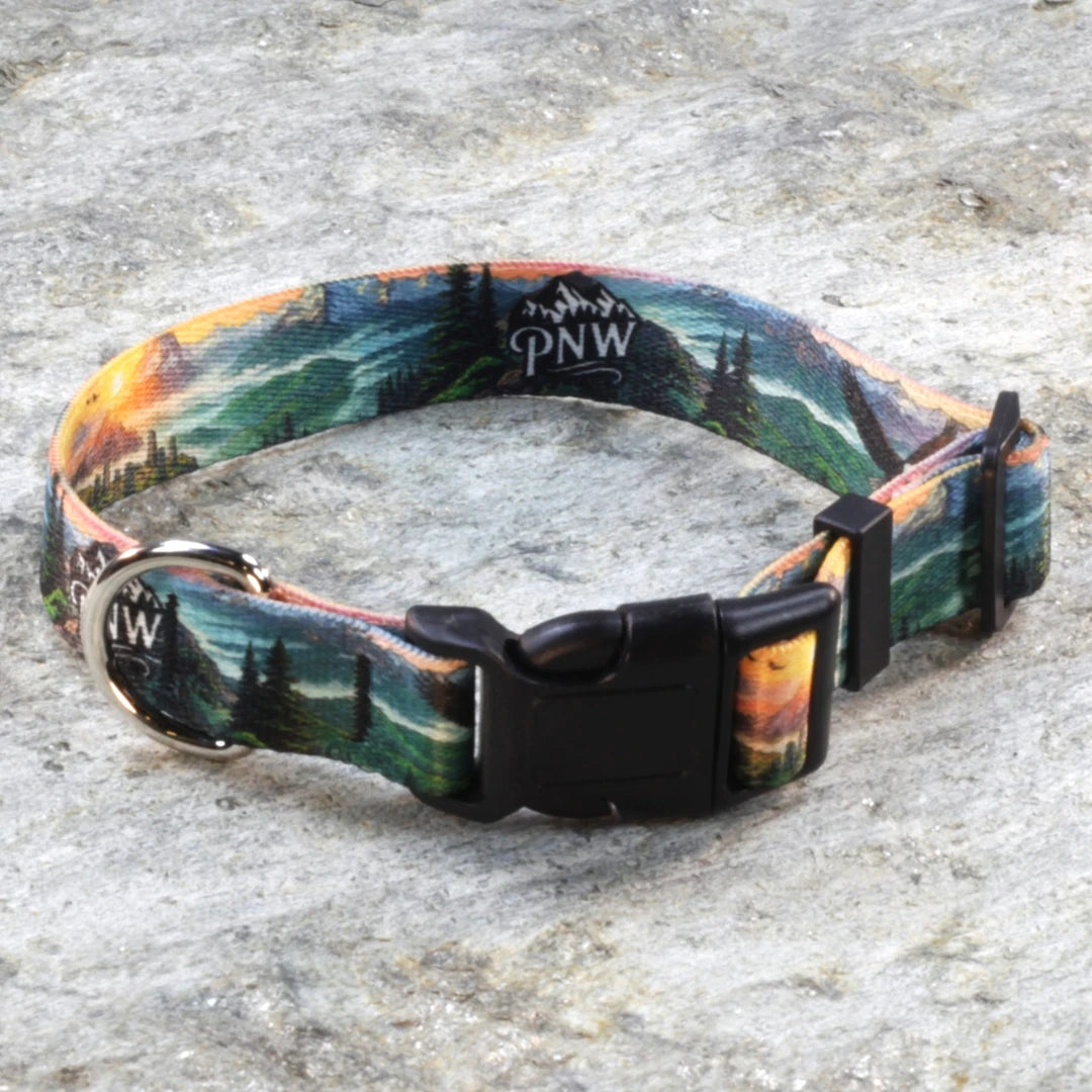 Pacific Northwest Pet Wear Dog Leash and Collar