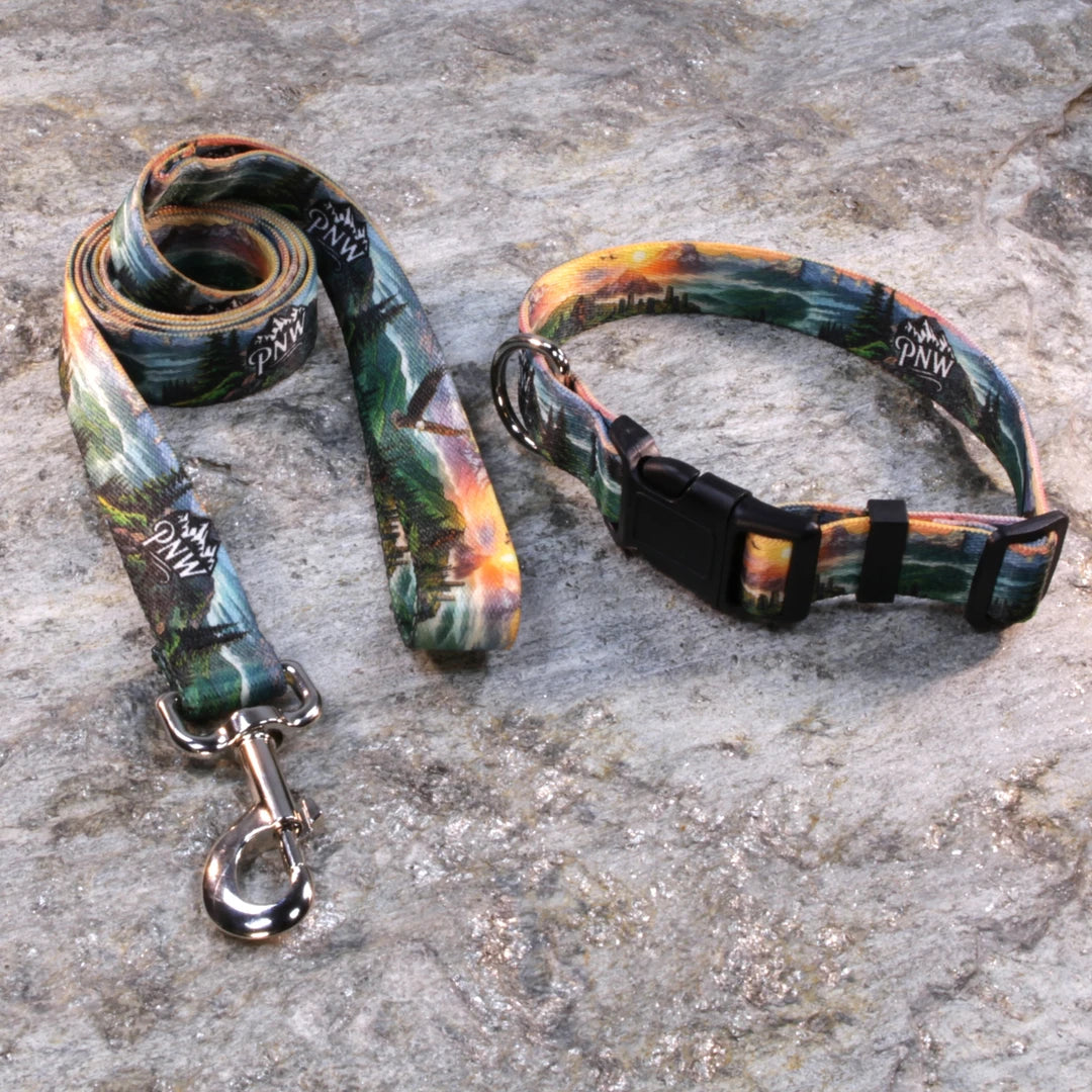 Pacific Northwest Pet Wear Dog Leash and Collar