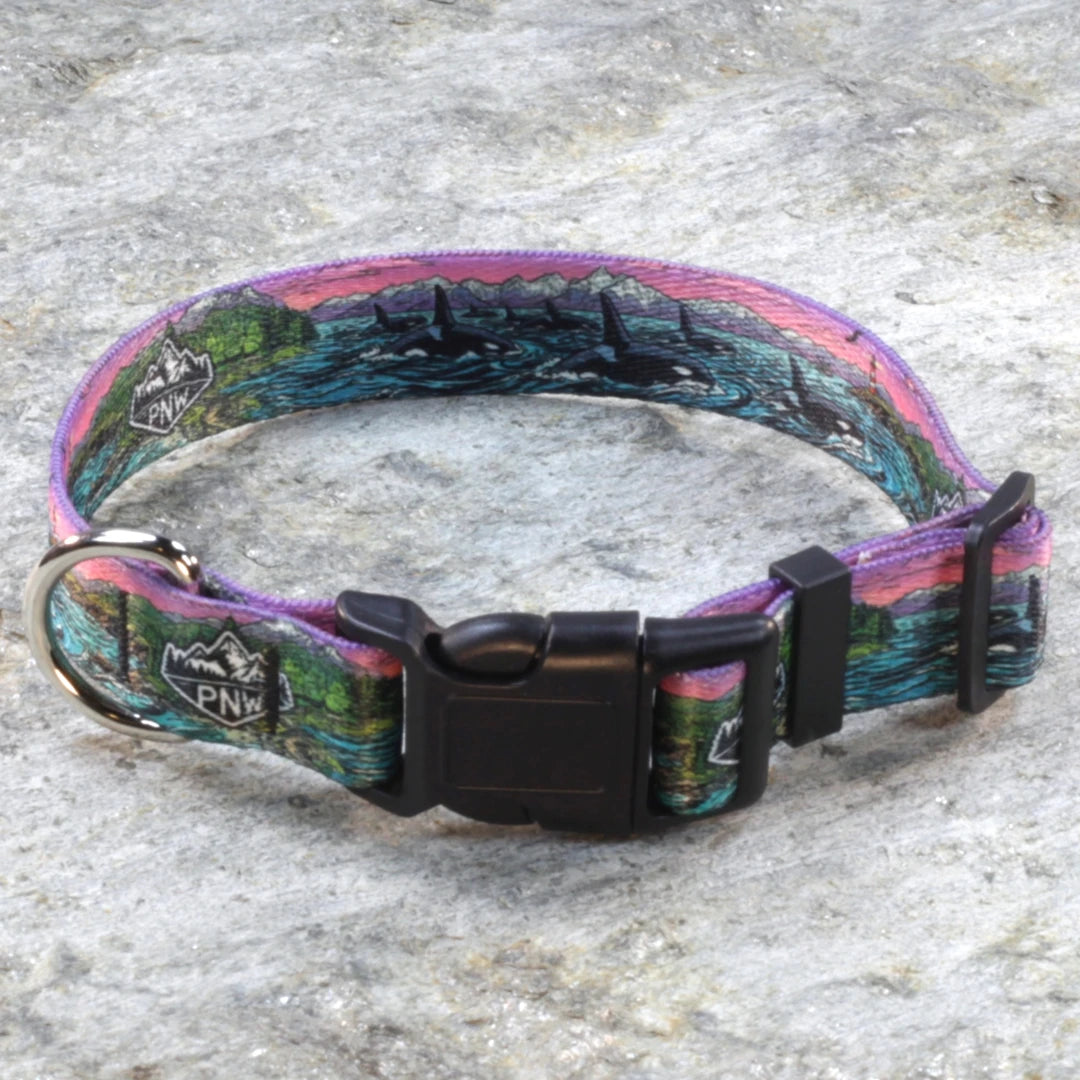 Pacific Northwest Pet Wear Dog Leash and Collar