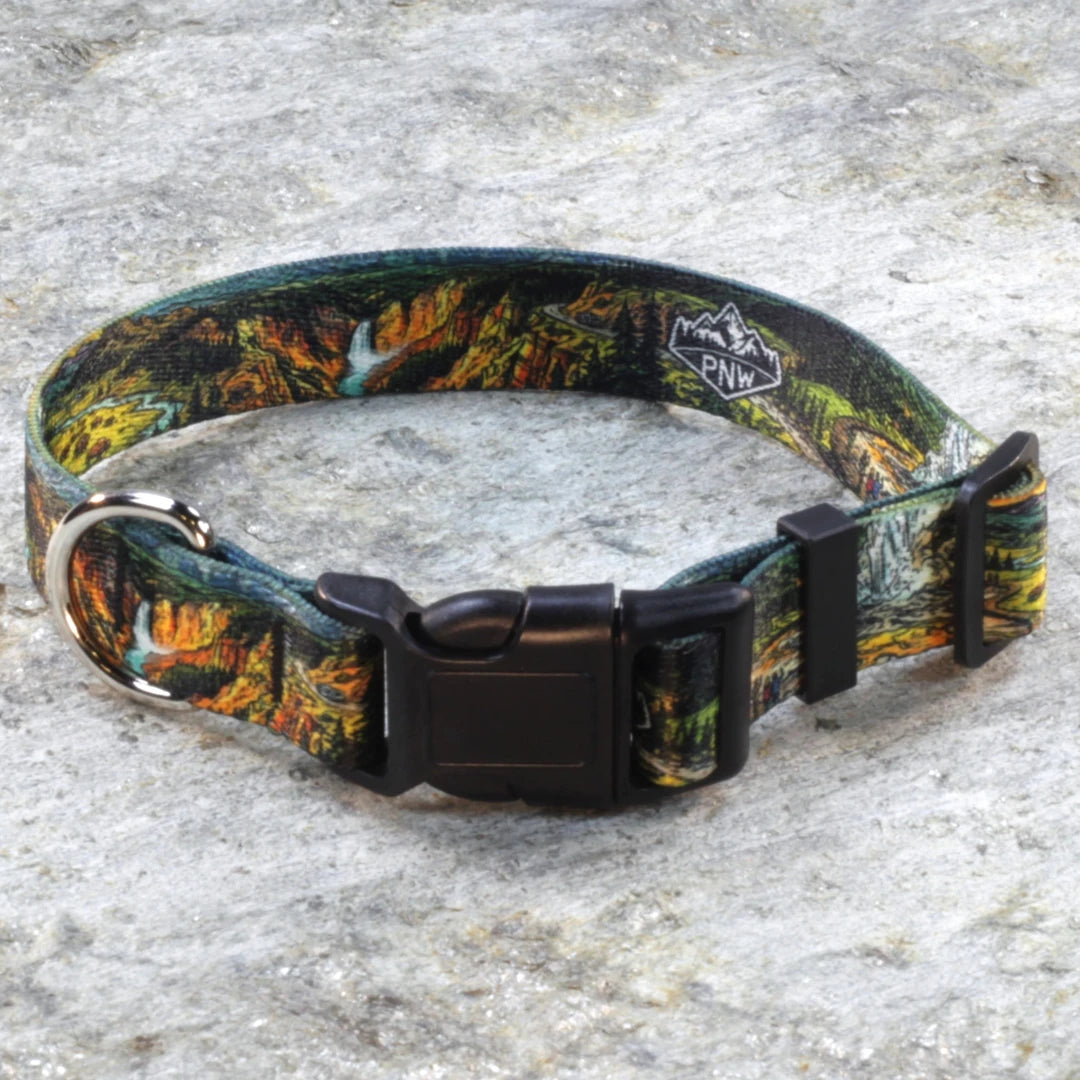 Pacific Northwest Pet Wear Dog Leash and Collar