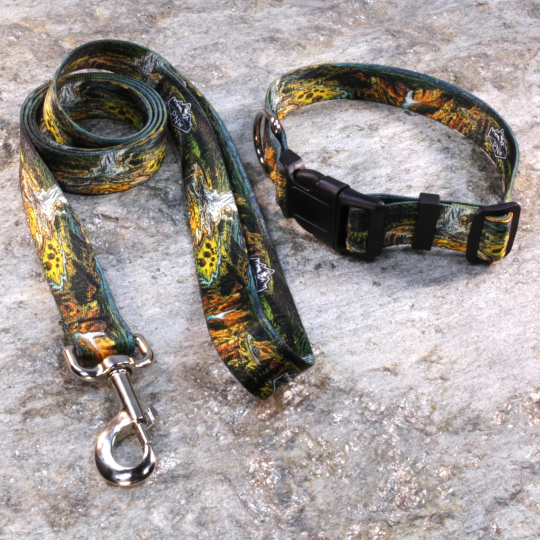Pacific Northwest Pet Wear Dog Leash and Collar