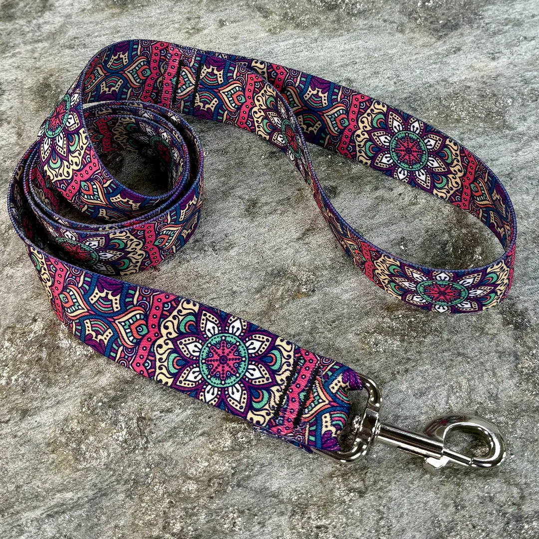 Painted Plume Mandala Dog Leash