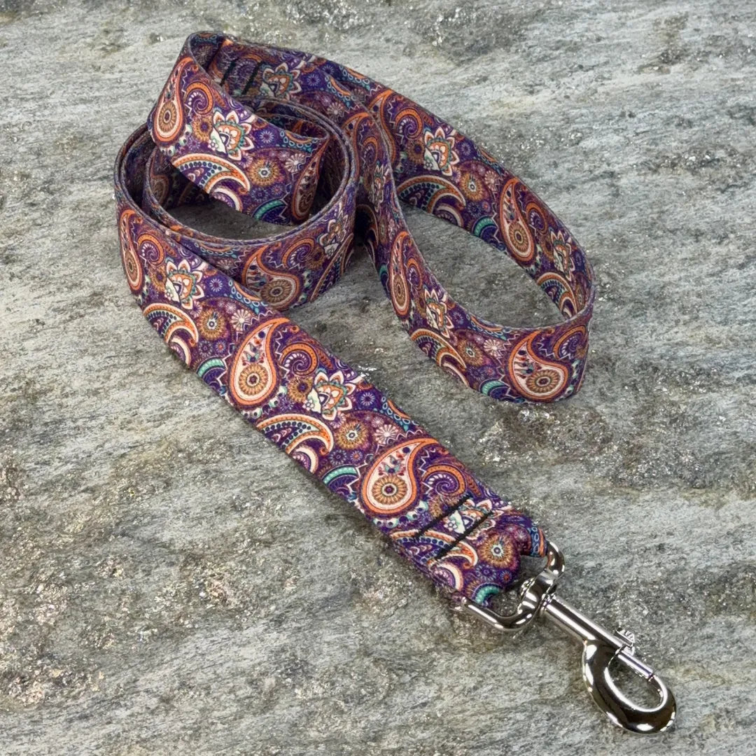 Paisley Pattern Dog Leash