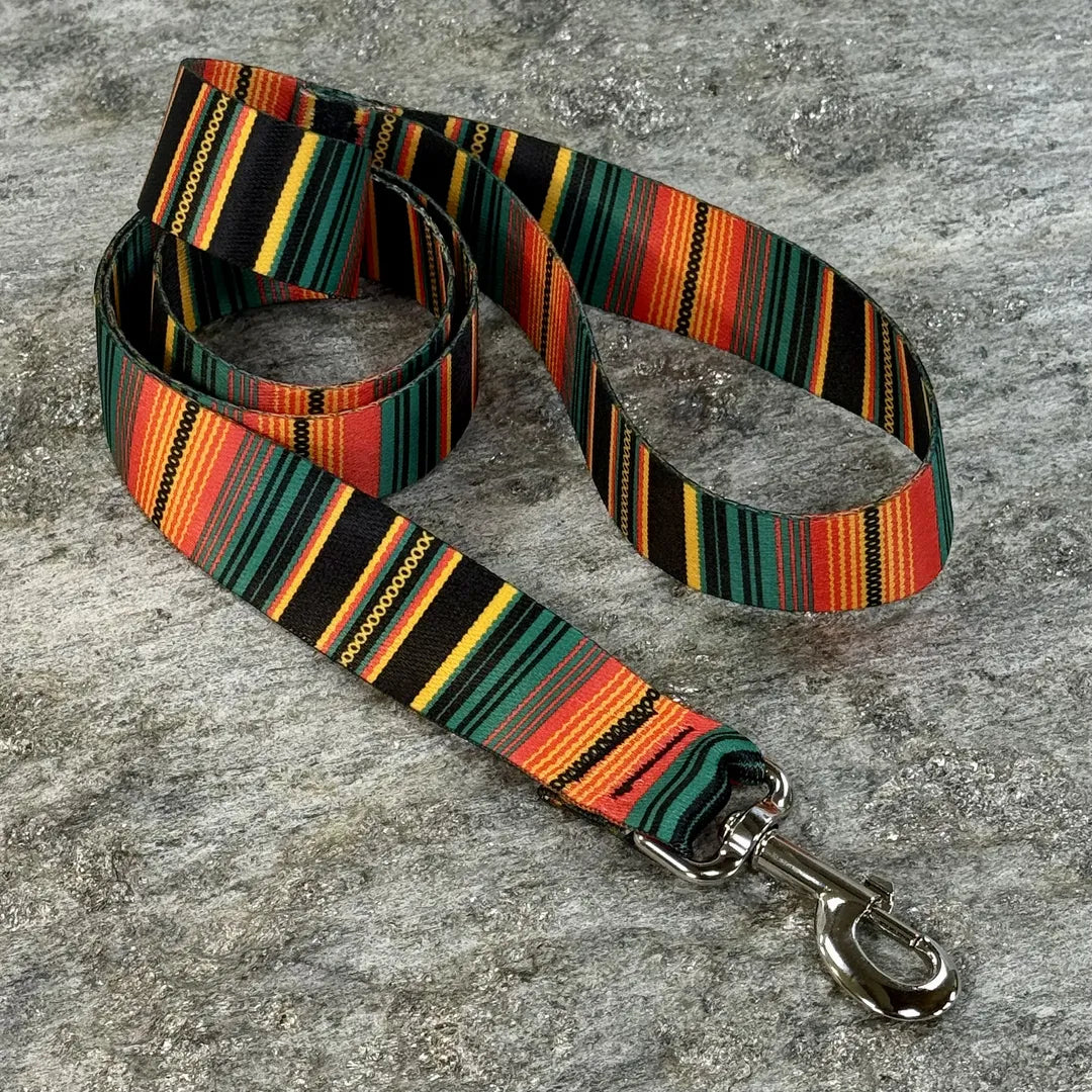 Serape Blanket Dog Leash