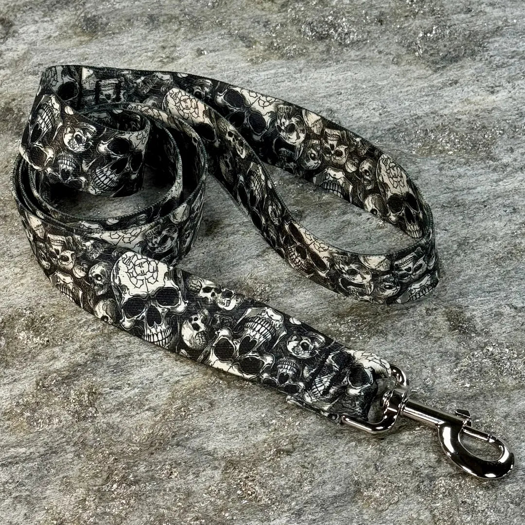 Wicked Skulls Pattern Dog Leash