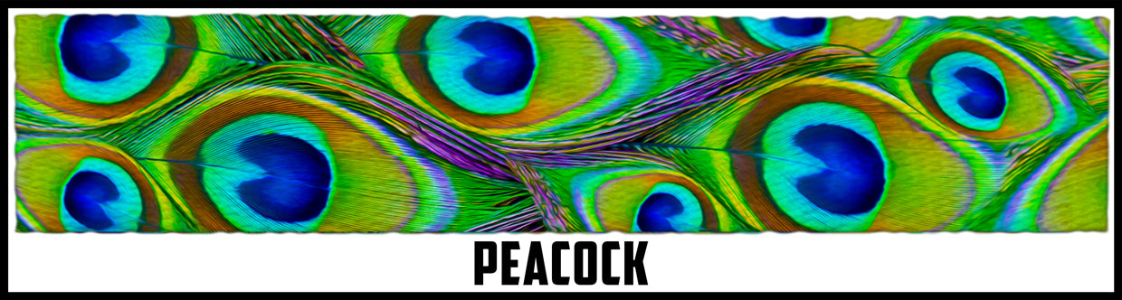 Peacock feather. 1 Inch custom picture quality polyester webbing. Design by Northwest Straps.