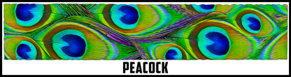 peacock feather.  1 1/2 Inch custom picture quality polyester webbing. Design by Northwest Straps.